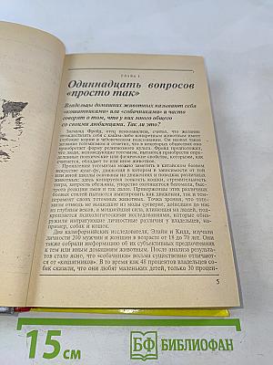 300 кошачьих "почему?"