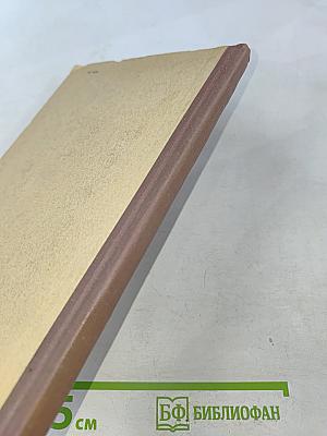 Телевидение