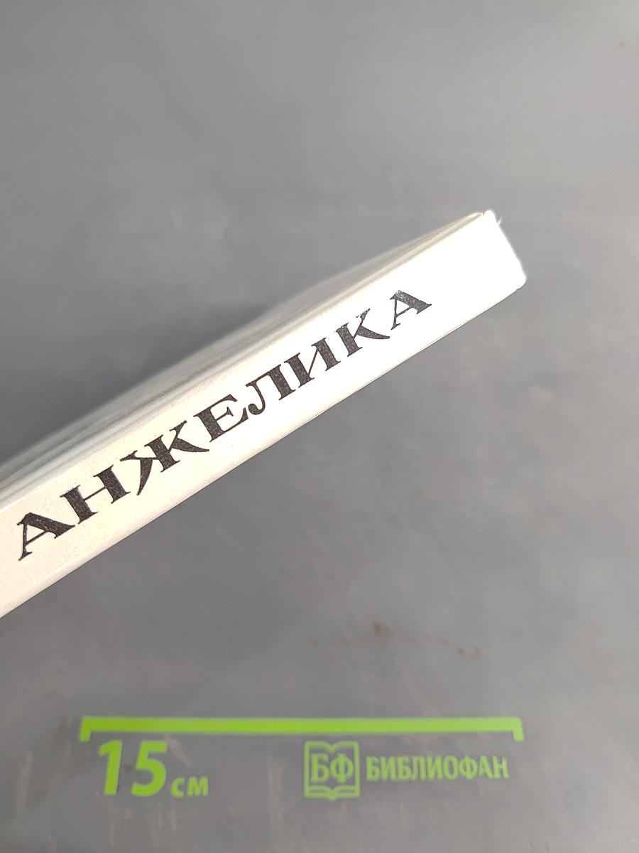 Анжелика. Путь в Версаль. Книга 2