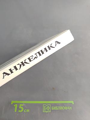 Анжелика. Путь в Версаль. Книга 2