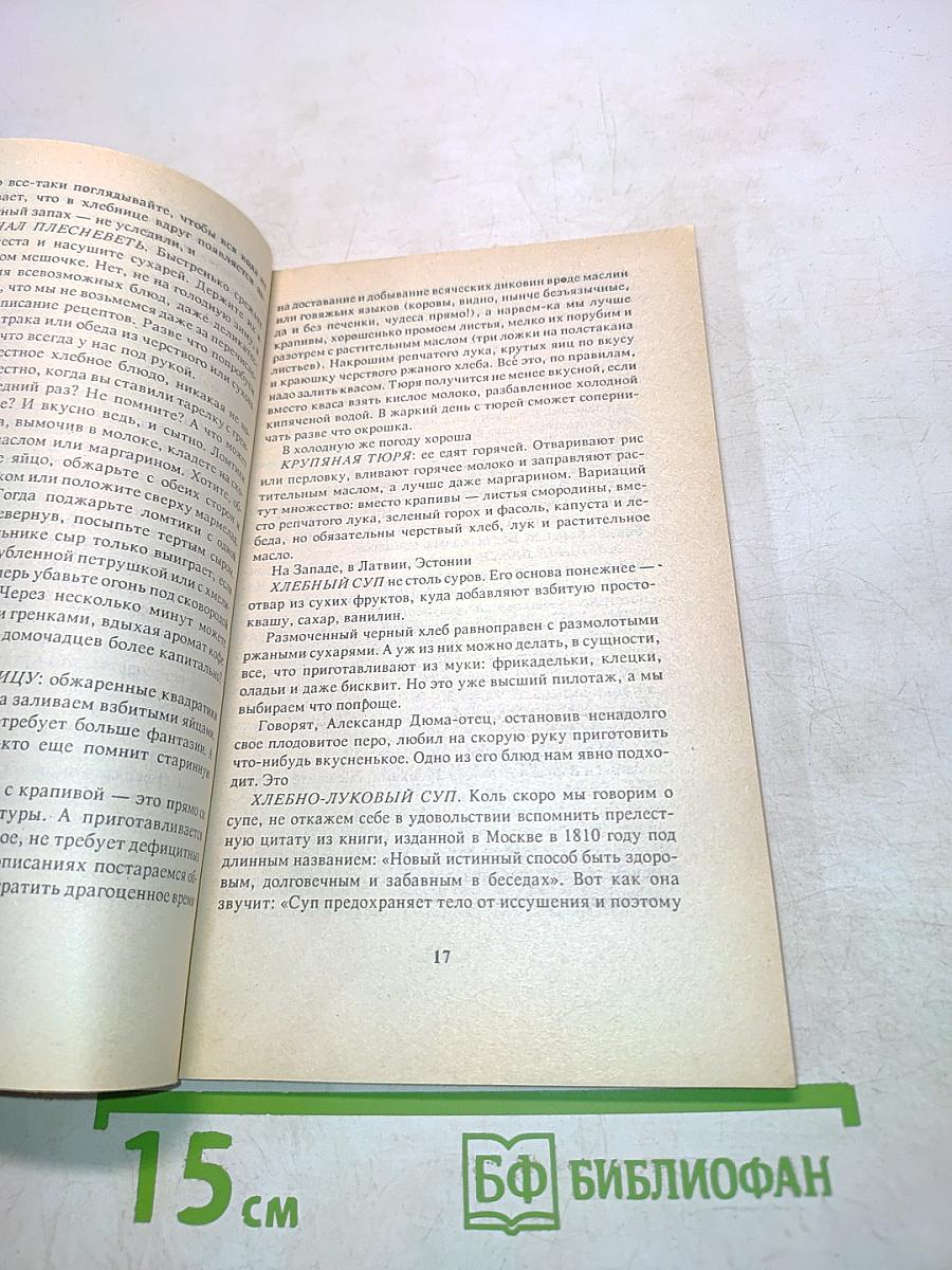 Дела домашние, или Книга о том, как вести дом