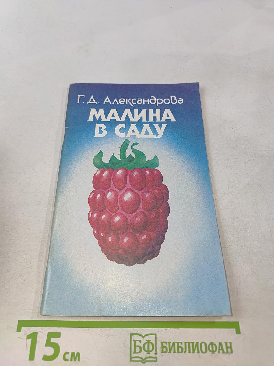 Малина в саду