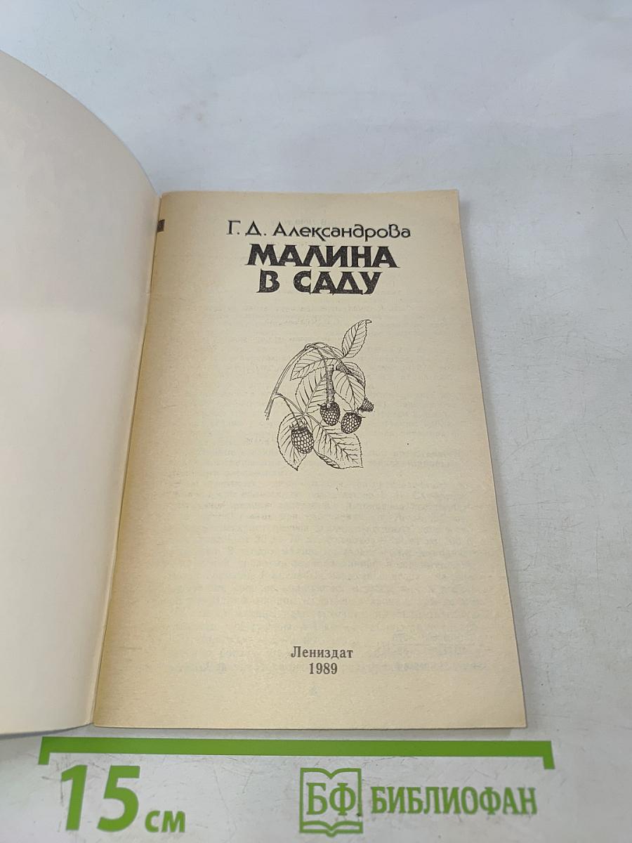 Малина в саду
