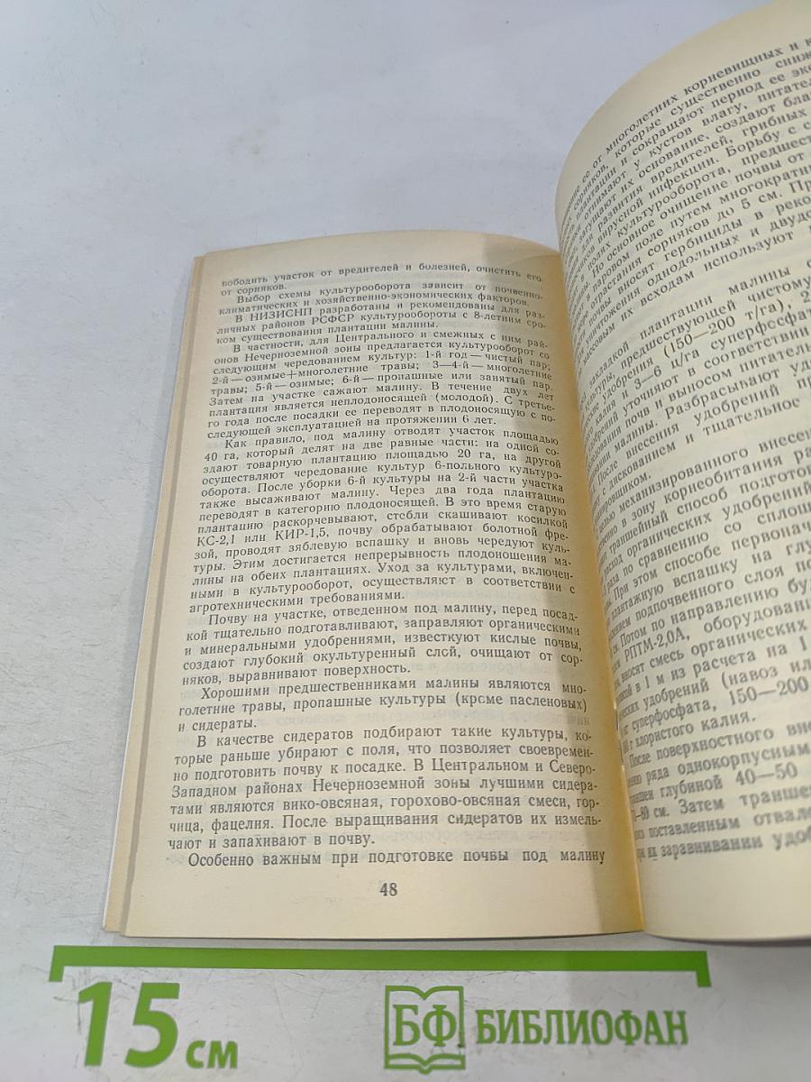 Малина в саду