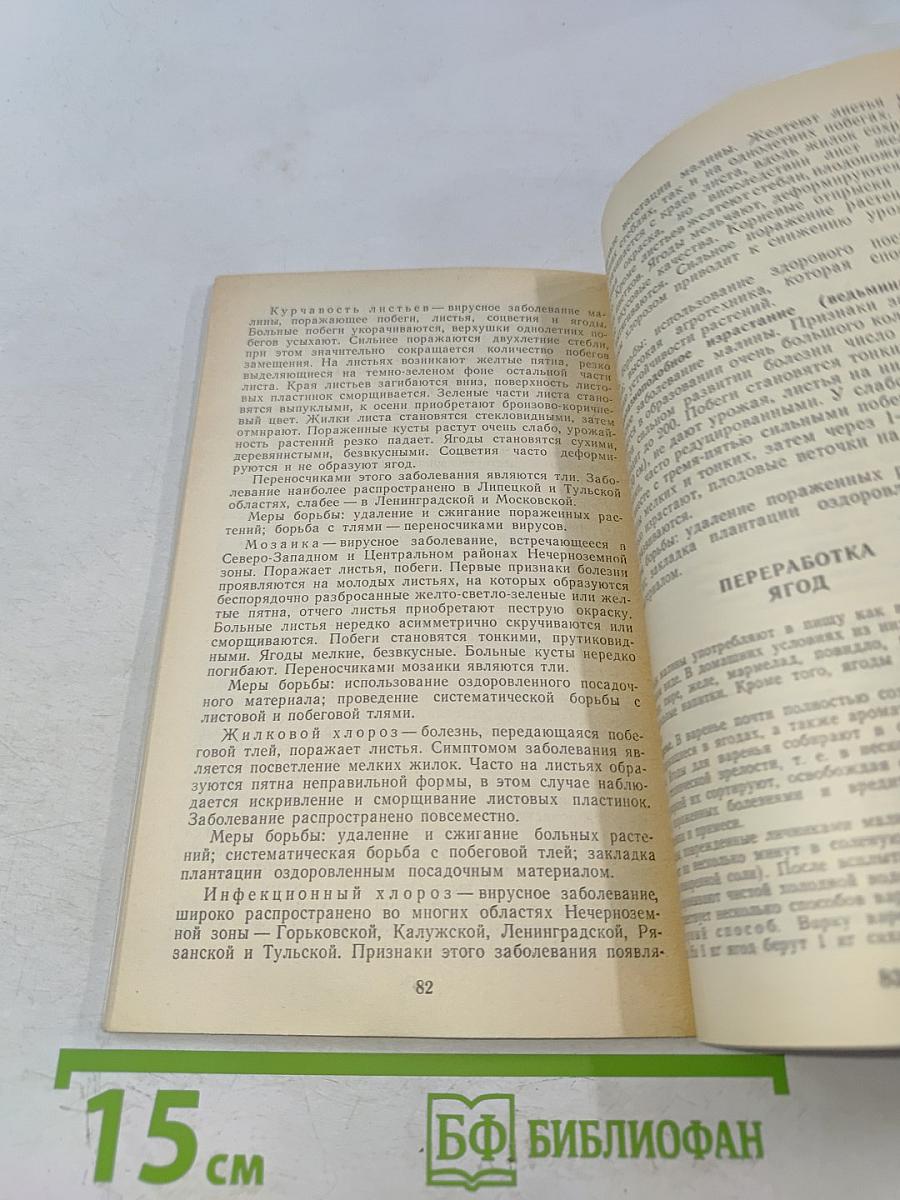 Малина в саду
