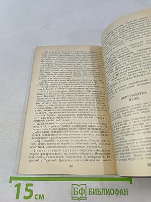 Малина в саду