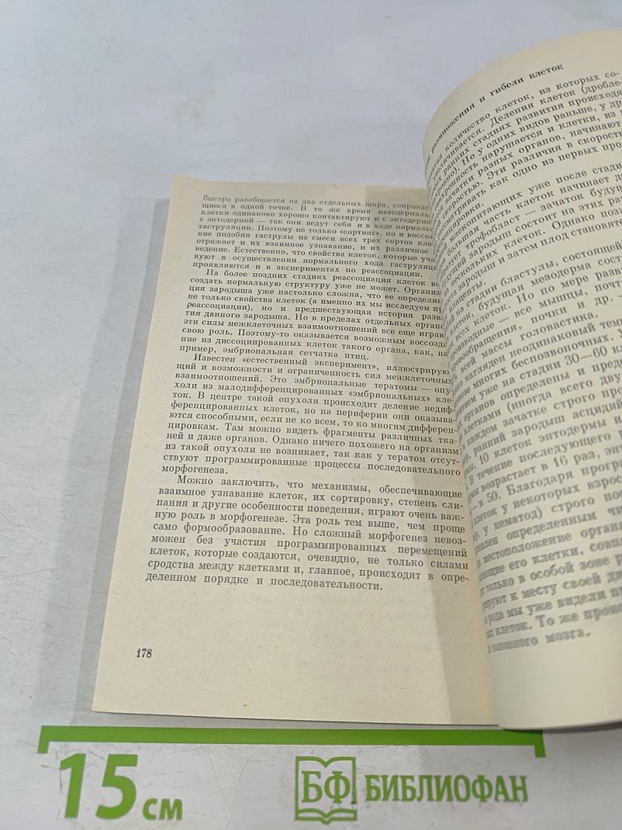 Гены и развитие организма