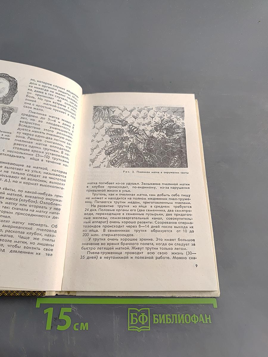 Продукты пчеловодства и их использование