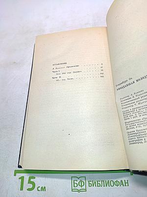 Опоздавшая молодежь