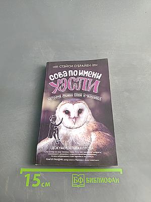 Сова по имени Уэсли. История любви совы и человека