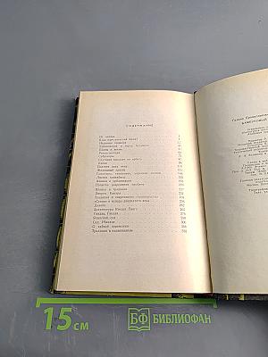 Бамбуковый город