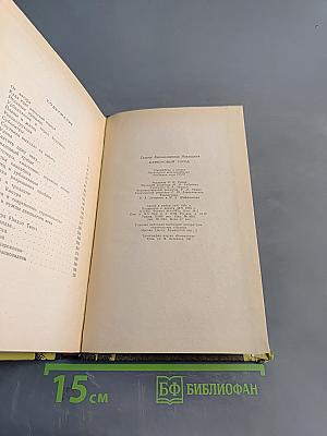 Бамбуковый город