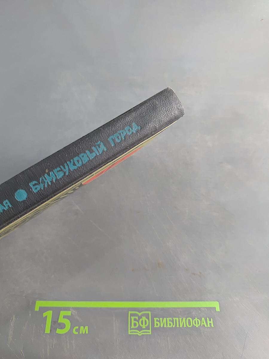 Бамбуковый город