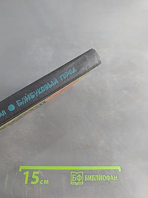 Бамбуковый город