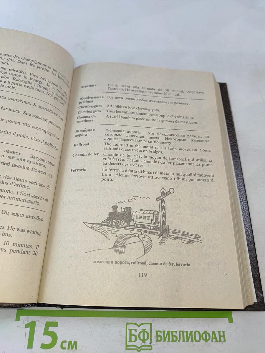 Русско-англо-франко-итальянский словарь в картинках