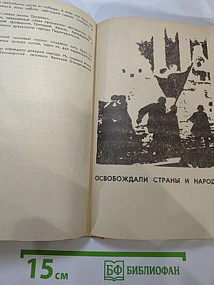 Отчизны верные сыны