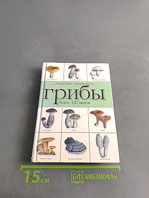 Грибы. Справочник-определитель