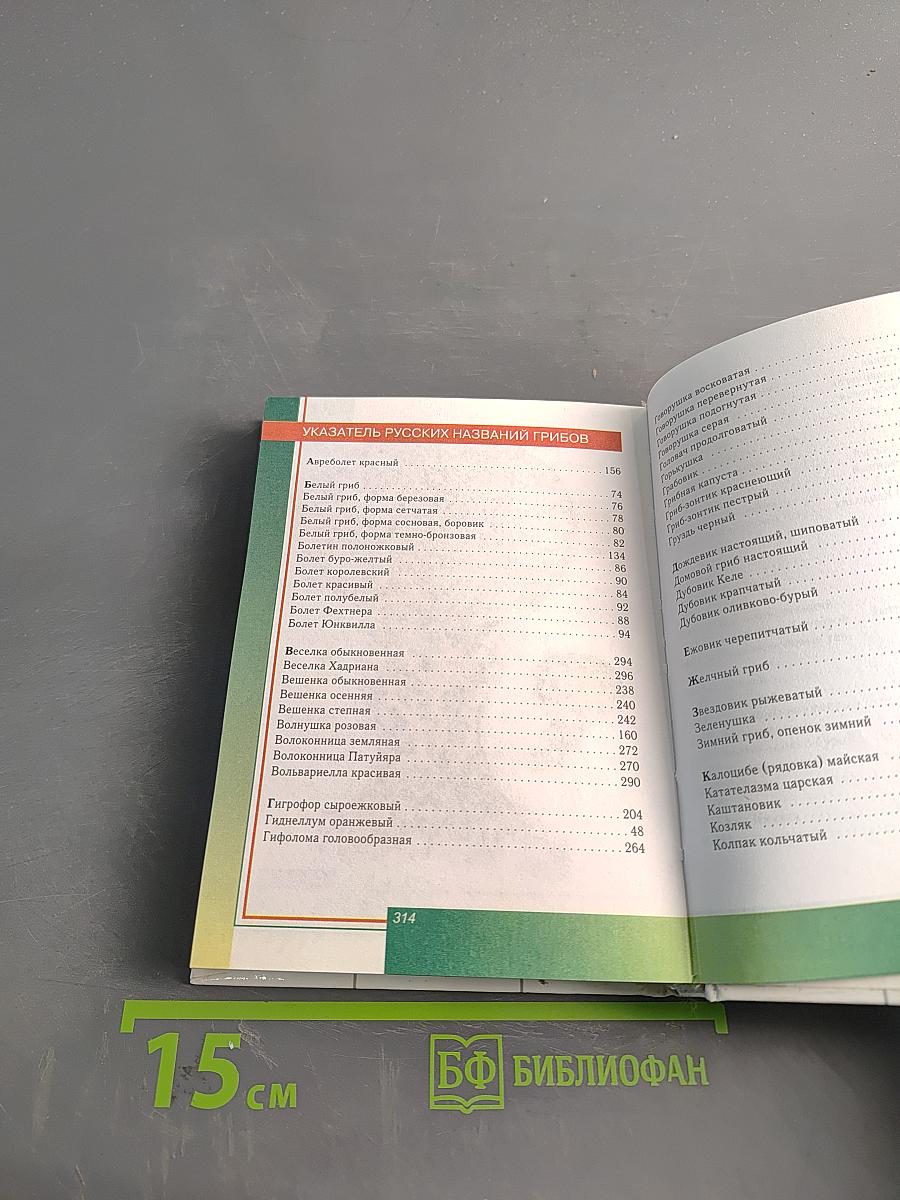 Грибы. Справочник-определитель