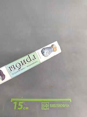 Грибы. Справочник-определитель