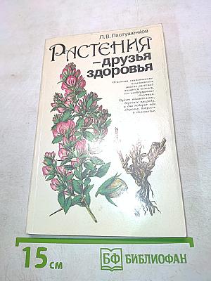 Растения – друзья здоровья