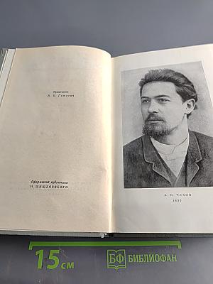 Собрание сочинений. Том одиннадцатый. Письма 1877-1892