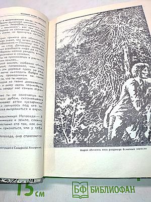 Зверобой, или Первая тропа войны