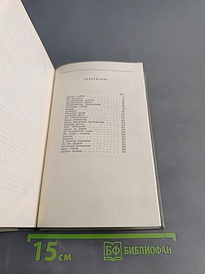 Солдатский долг