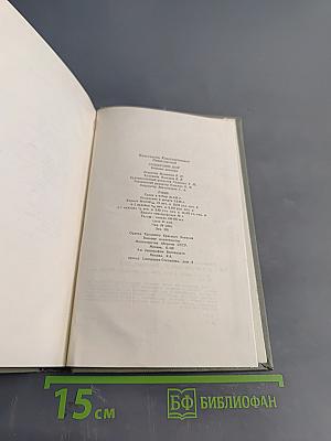 Солдатский долг