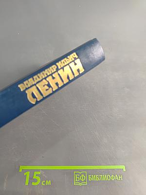 Владимир Ильич Ленин. Биография. Том 2