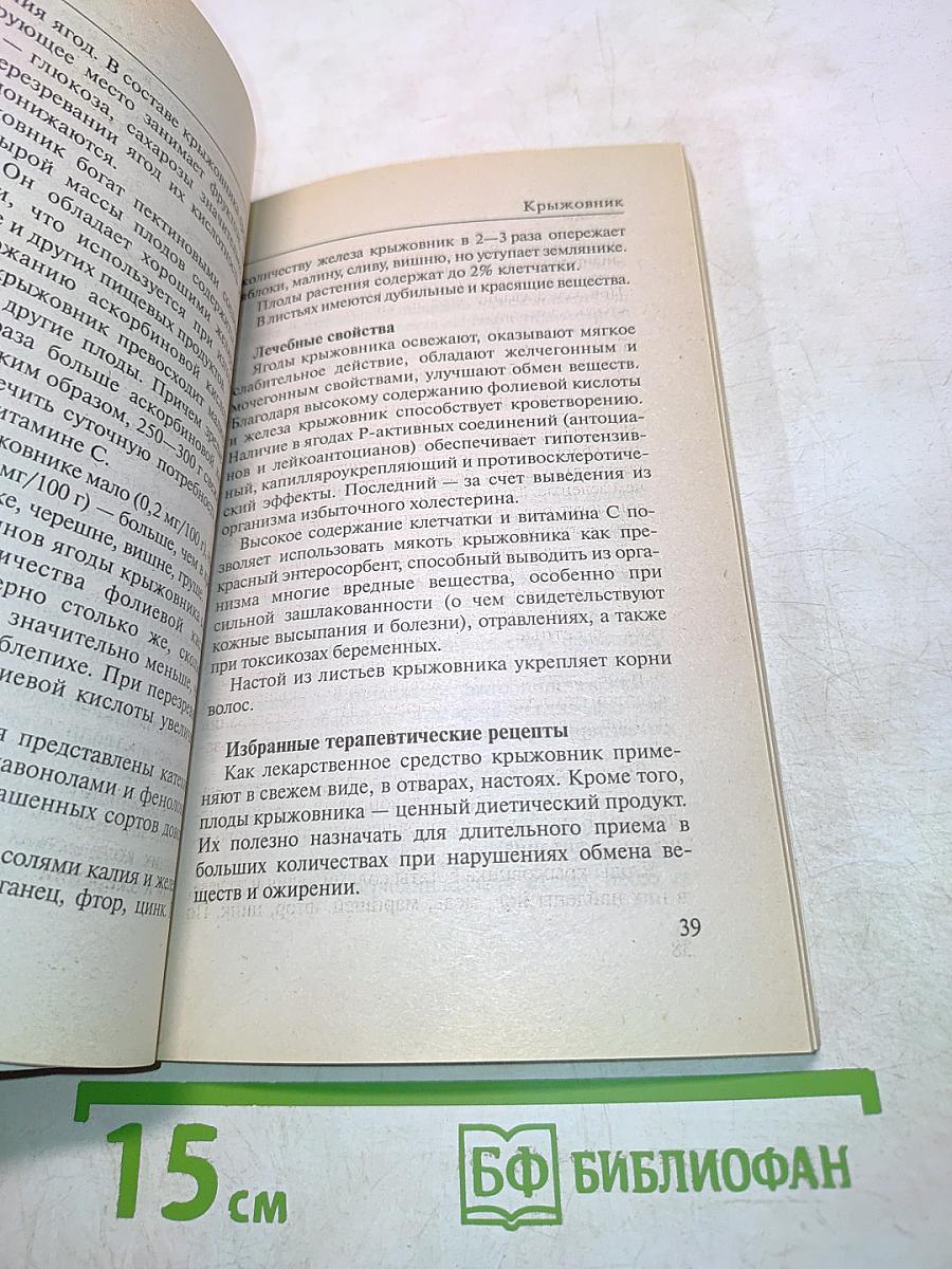 Лечимся ягодами