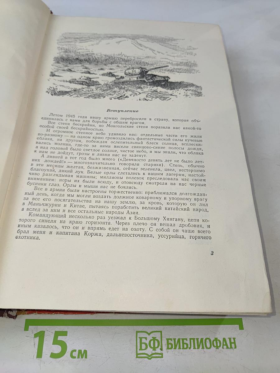 На сопках Маньчжурии