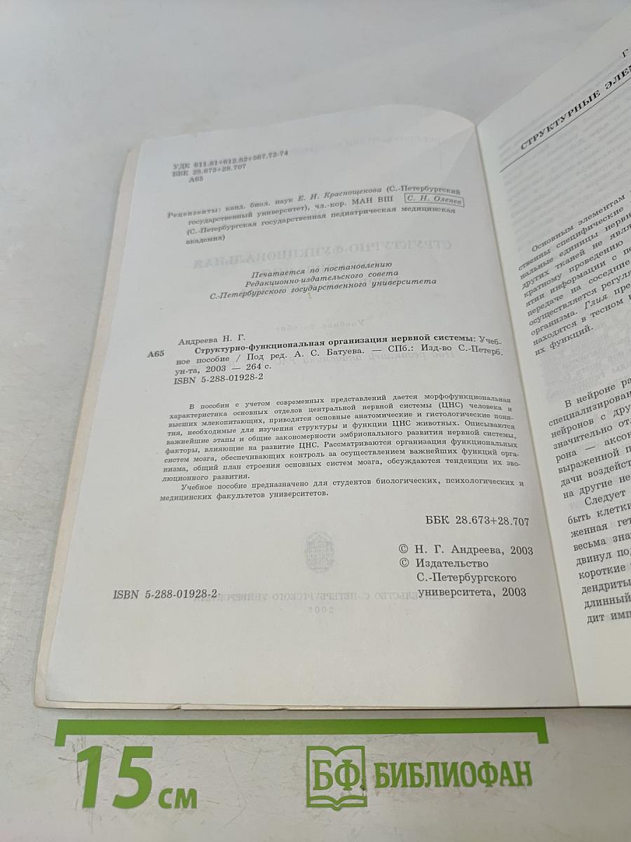 Структурно-функциональная организация нервной системы