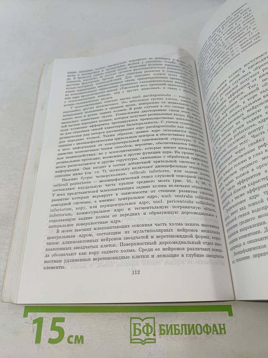 Структурно-функциональная организация нервной системы