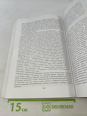 Структурно-функциональная организация нервной системы