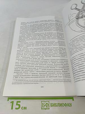 Структурно-функциональная организация нервной системы