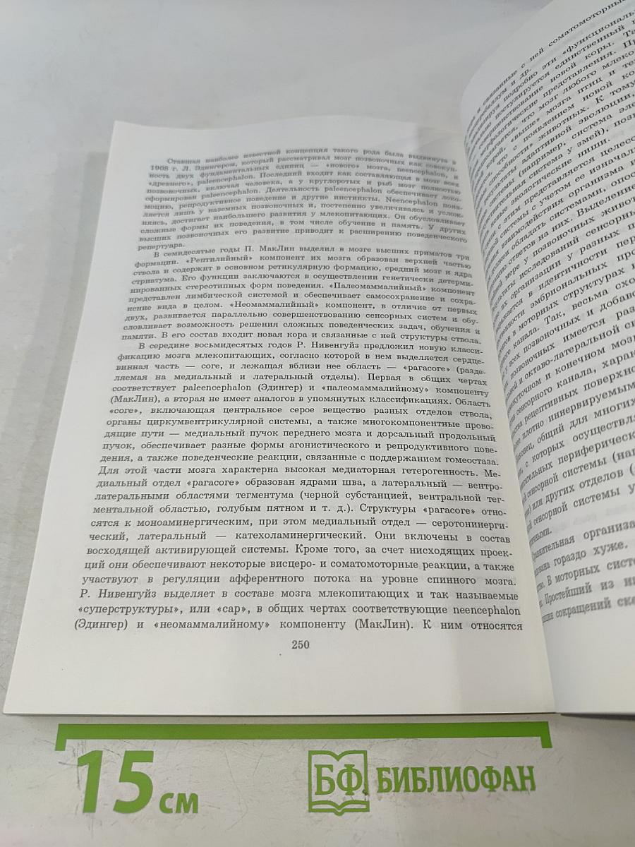 Структурно-функциональная организация нервной системы