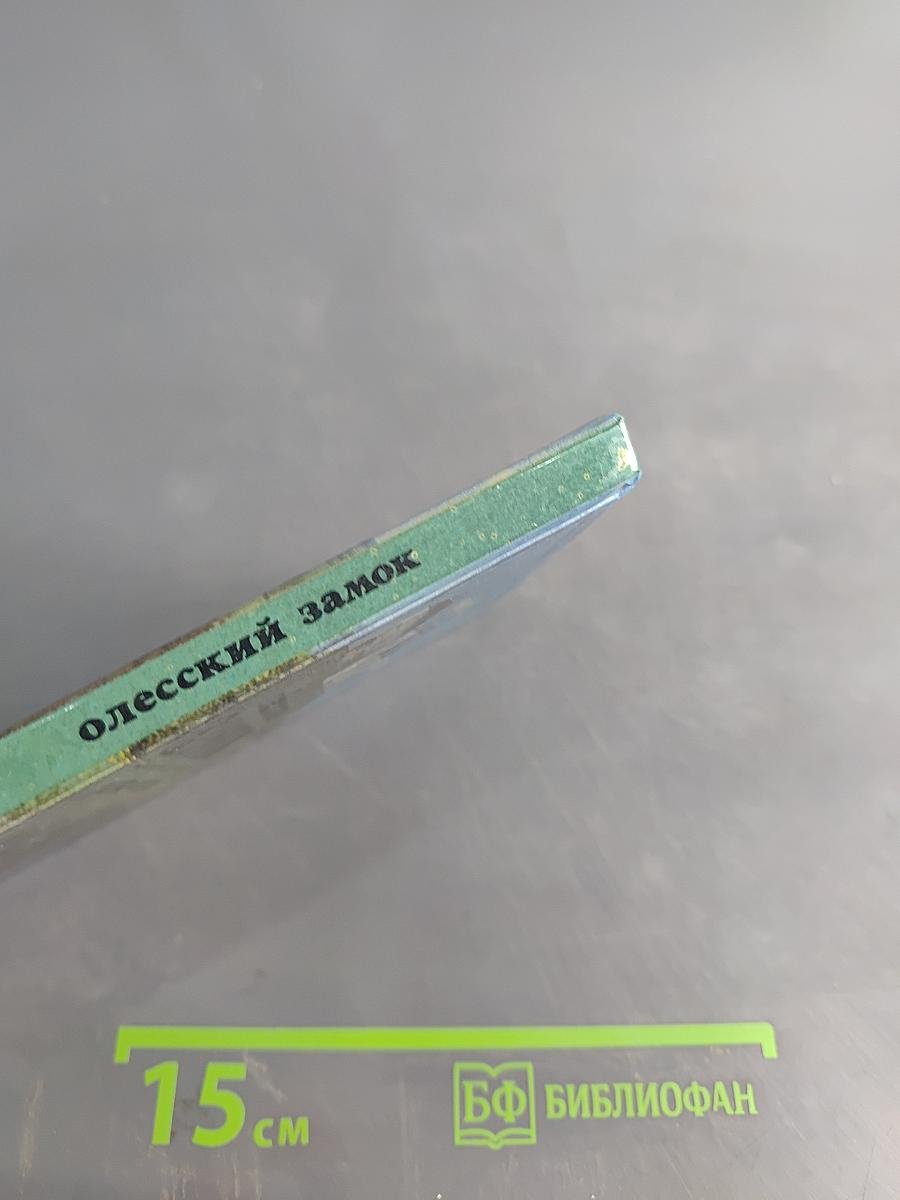 Олесский замок