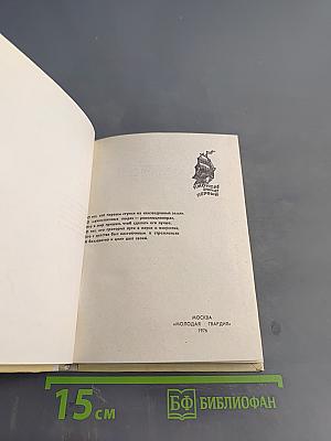 Впередсмотрящий