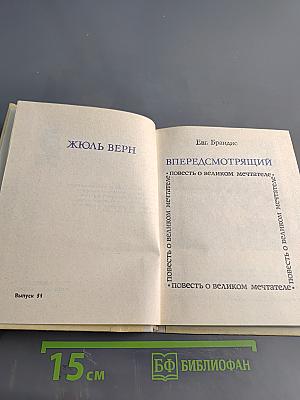 Впередсмотрящий