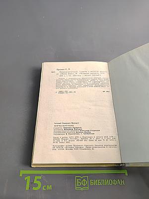 Впередсмотрящий