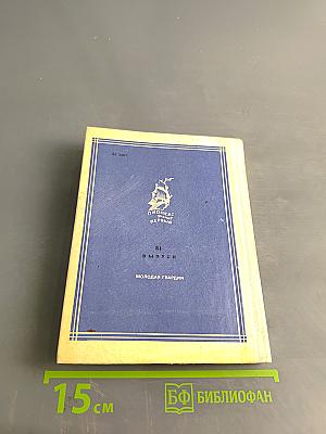 Впередсмотрящий