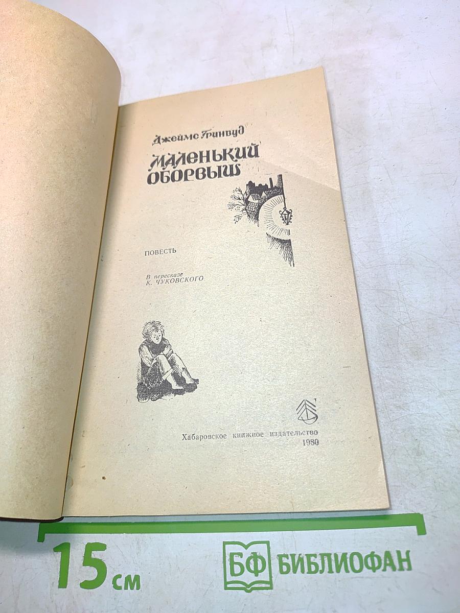 Маленький оборвыш