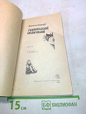 Маленький оборвыш