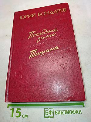 Последние залпы. Тишина