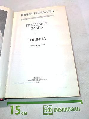 Последние залпы. Тишина