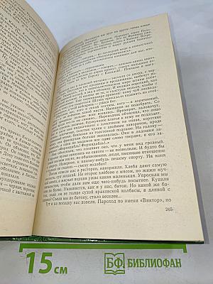 Большой приз