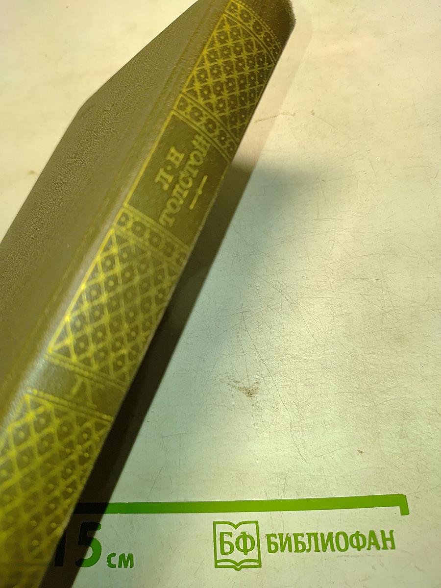 Анна Каренина. Роман в восьми частях. Том девятый