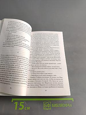 История нового имени. Моя гениальная подруга. Книга вторая
