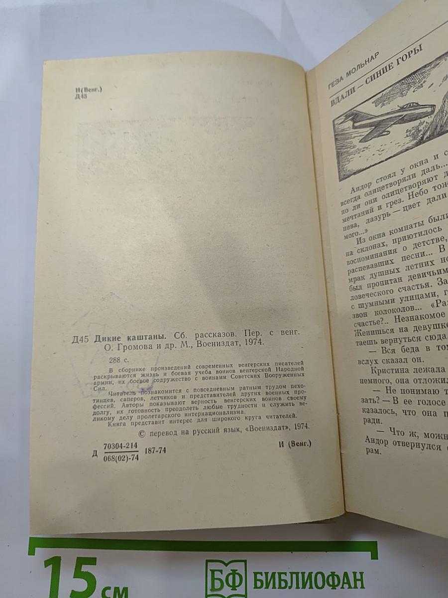 Дикие Каштаны