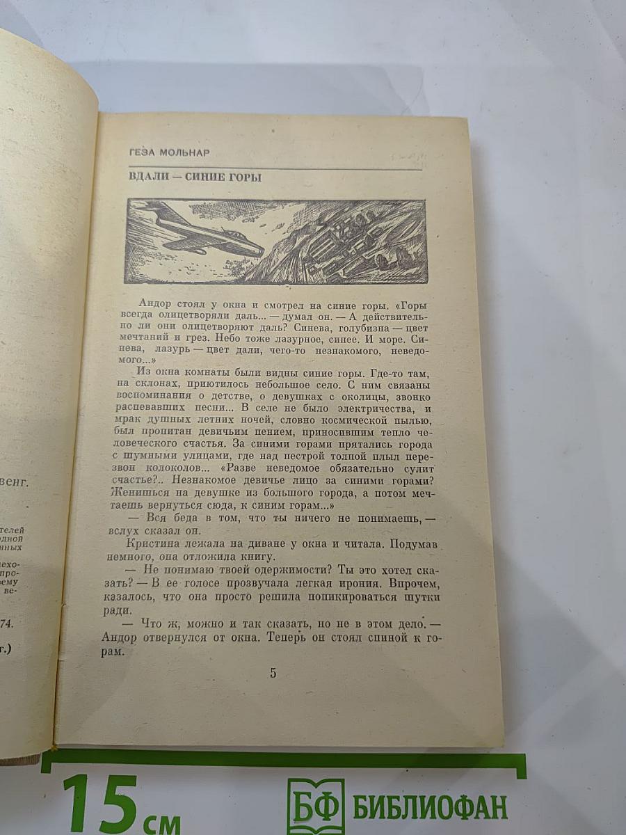 Дикие Каштаны